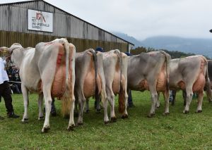 012schneuter ltere alle